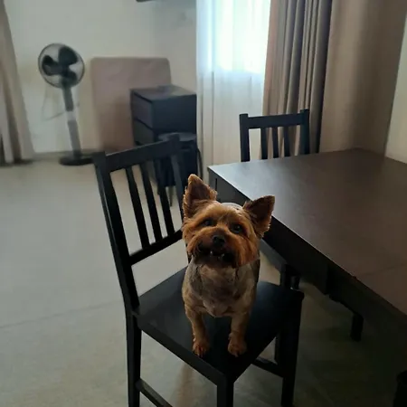 Jaunamuiza Apartment *